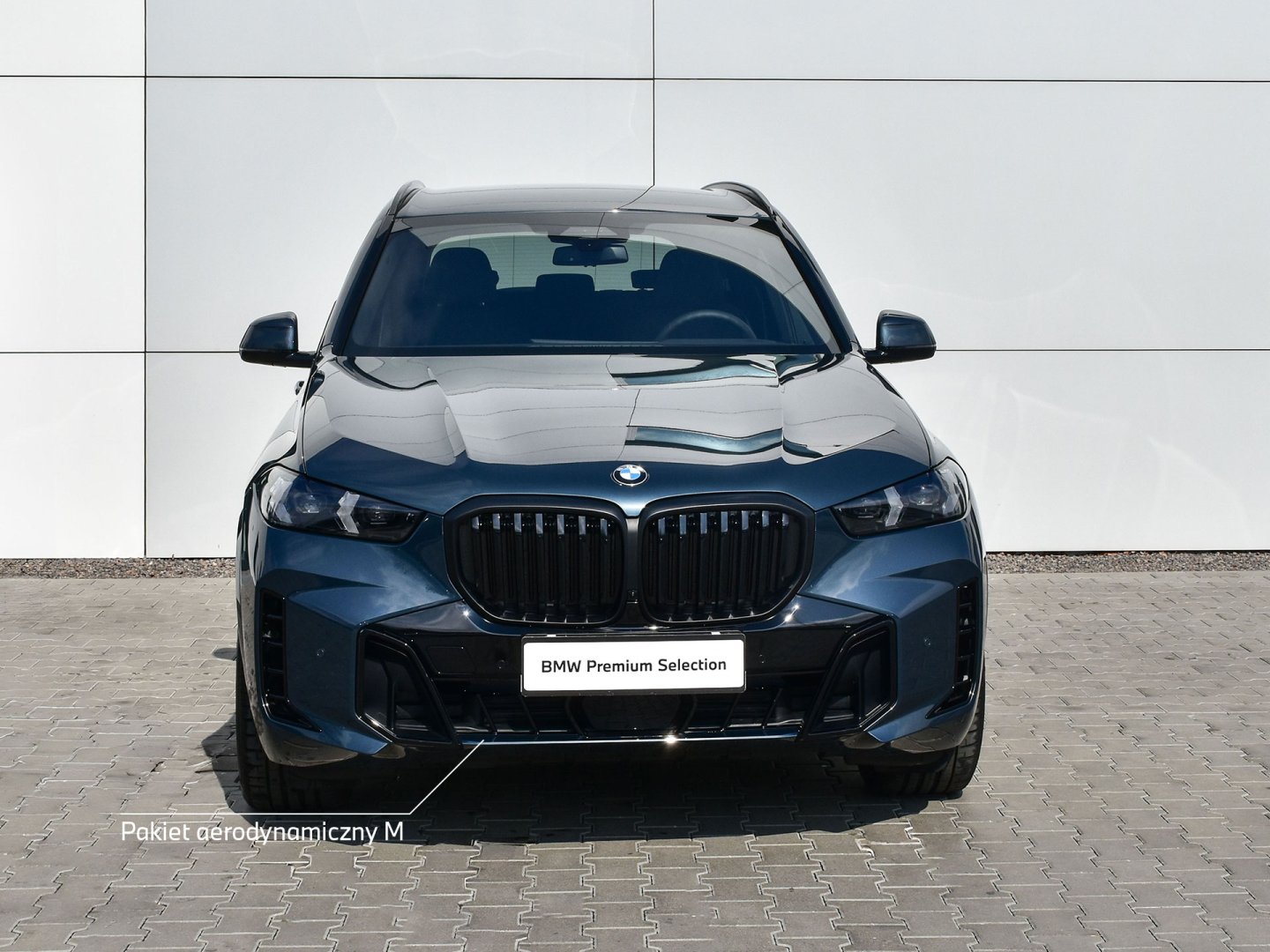 11EV - X5 xDrive 30d