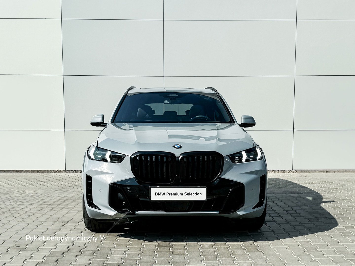 11EV - X5 xDrive30d