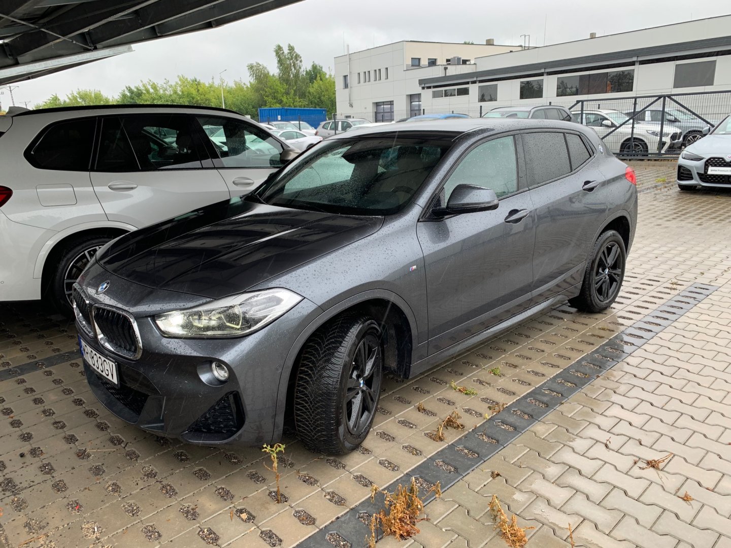 F39 -  X2 sDrive18d