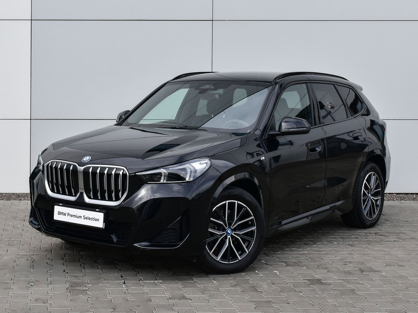 21EF - X1 xDrive 25e