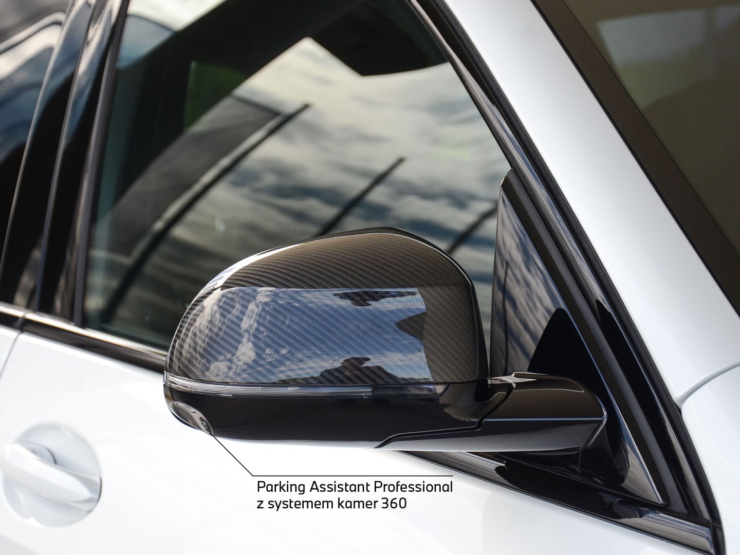 11EV - X5 xDrive 30d