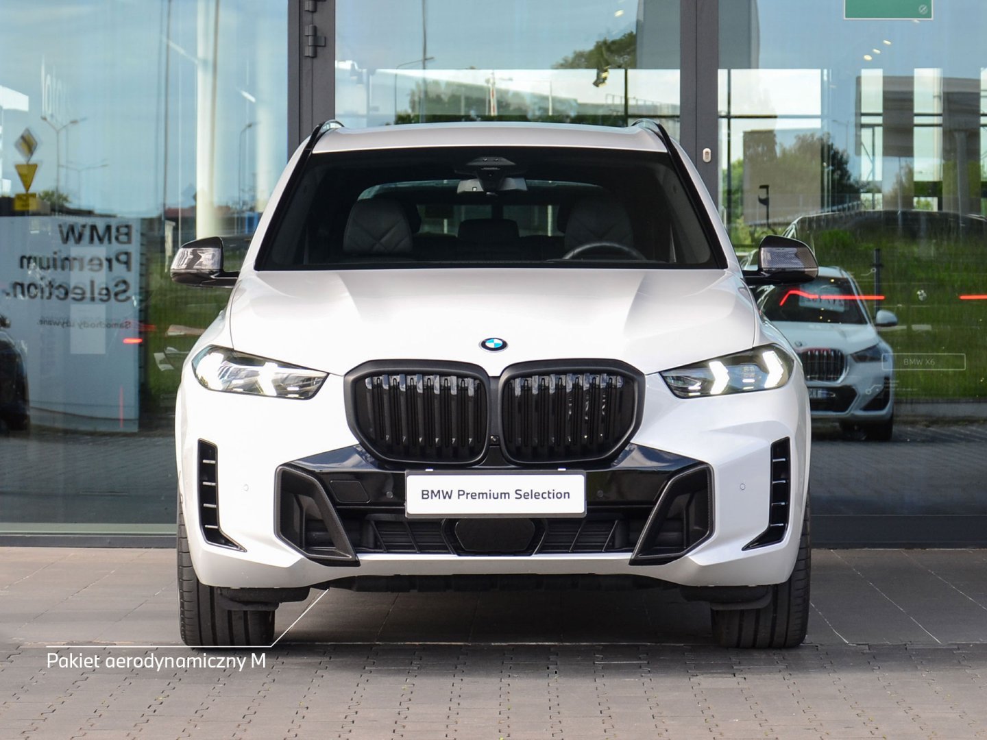 11EV - X5 xDrive 30d