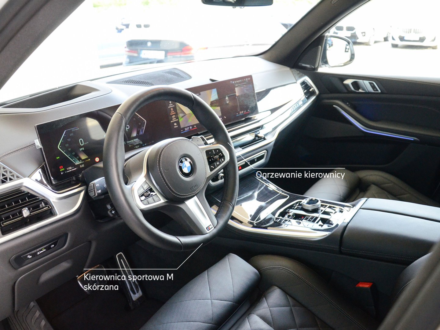 11EV - X5 xDrive 30d
